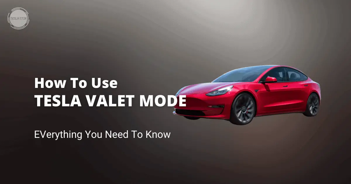 how to use tesla valet mode