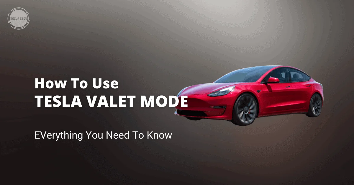 como usar o modo de valet tesla