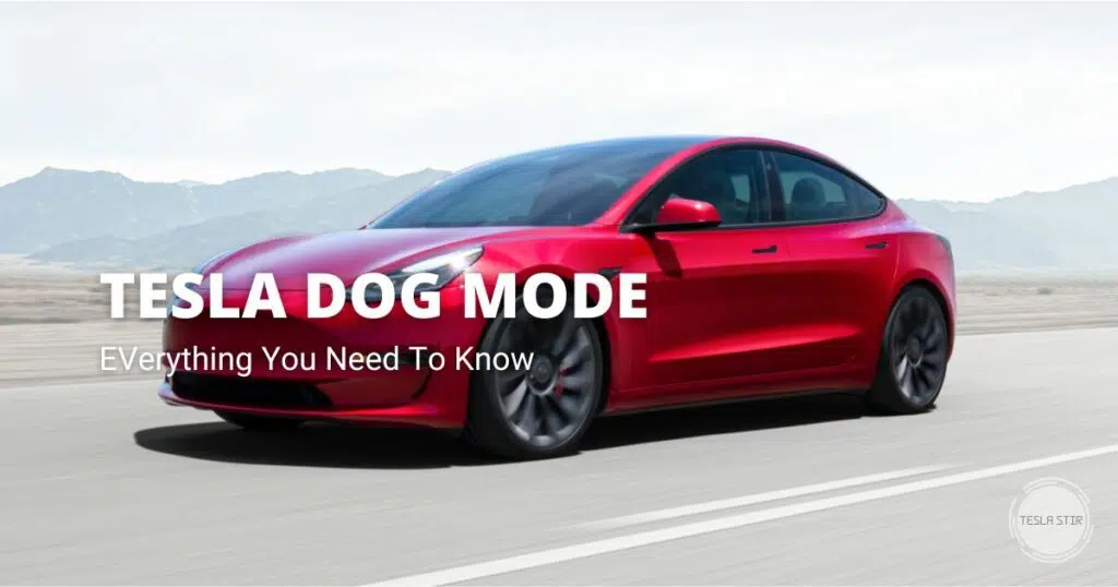 Tesla Dog Mode: Everything You Need to Know