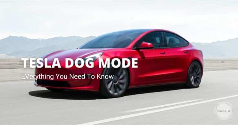 Tesla Dog Mode: Everything You Need to Know