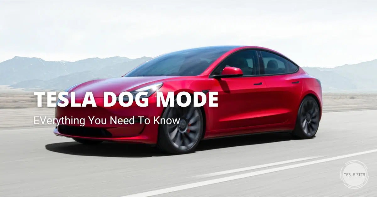 how does tesla dog mode work