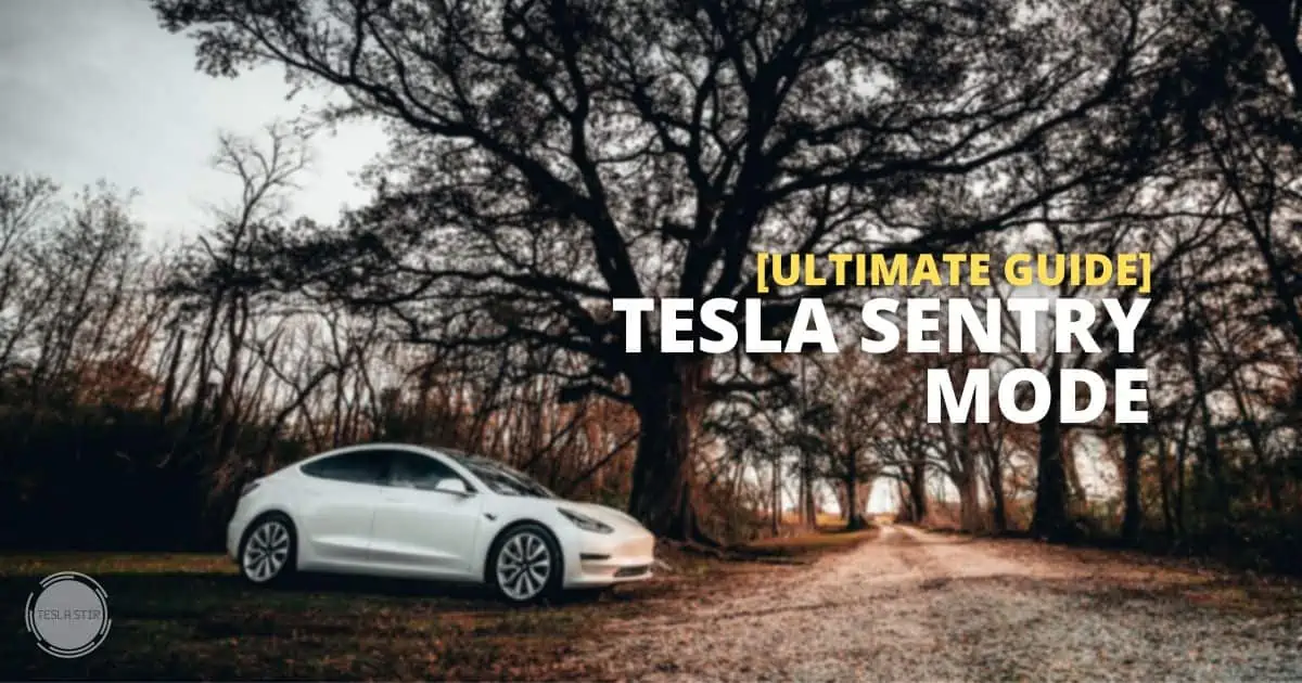 tesla sentry mode