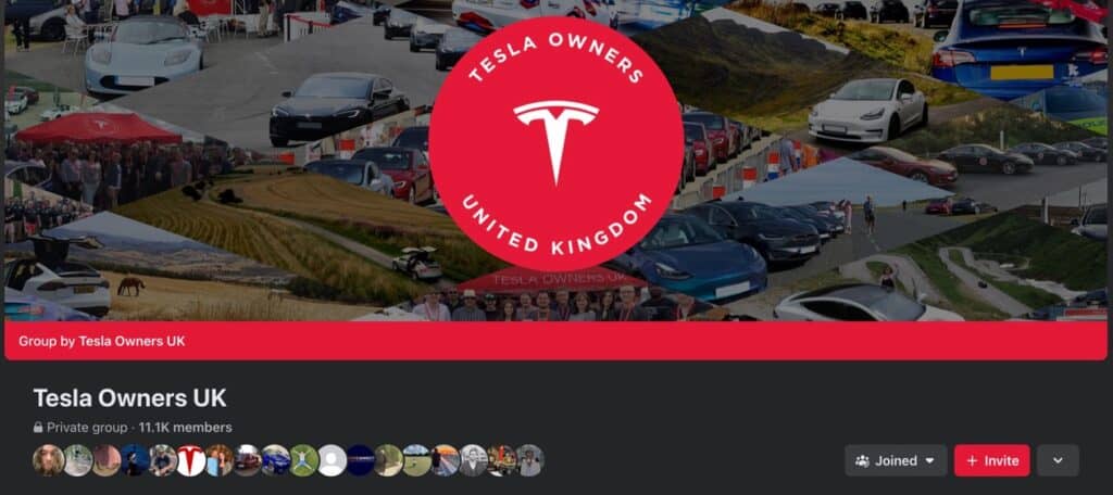 tesla owners group uk