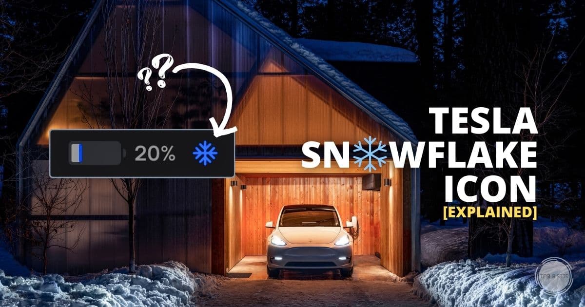 what does tesla blue snowflake icon mean
