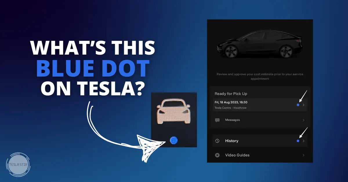 What’s that New Blue Dot on Tesla Screen? 🔵