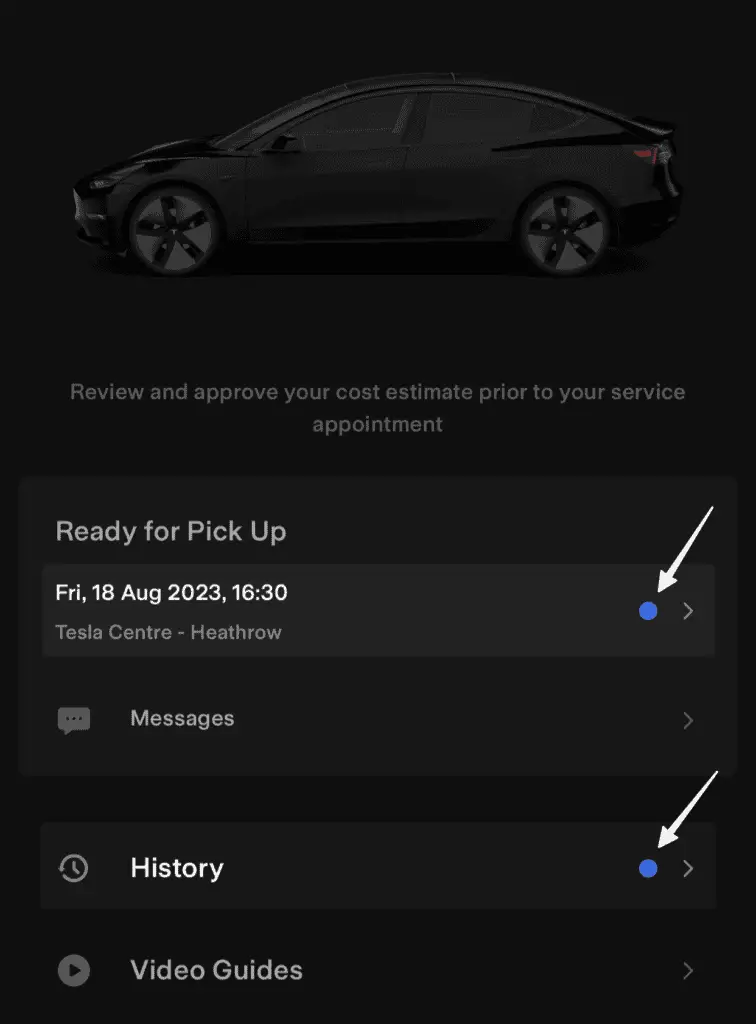 tesla blue dot icon on the tesla app